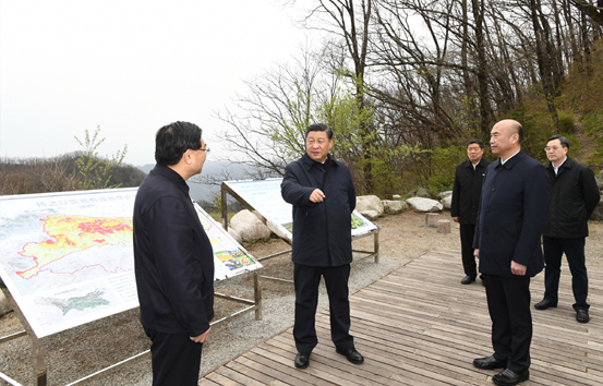 习近平在陕西考察秦岭生态保护情况